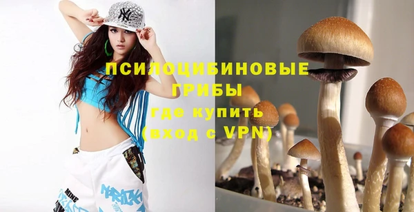 дживик Богданович