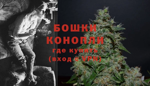 дживик Богданович