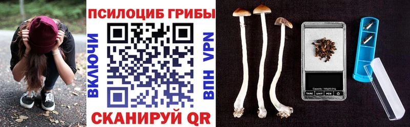 Галлюциногенные грибы мухоморы  где найти наркотики  Крым 